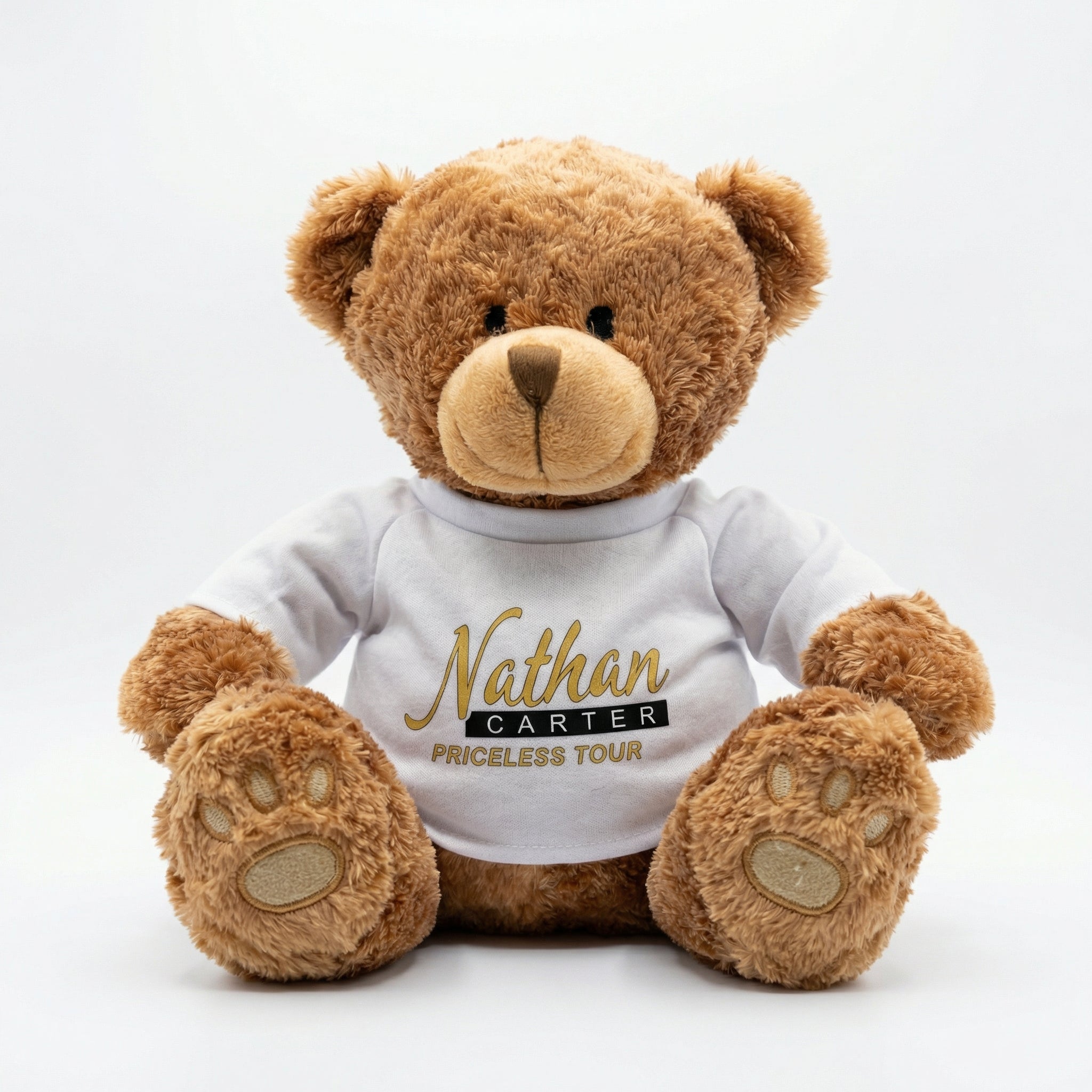 PRICELESS TOUR TEDDY